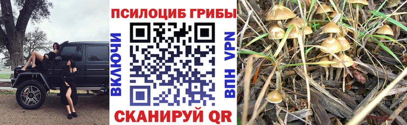 Псилоцибиновые грибы MAGIC MUSHROOMS  Купить  Рузаевка 