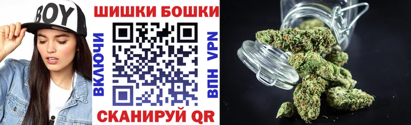 Купить где  Рузаевка  Бошки Шишки ГИДРОПОН 